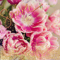 Image Not Available